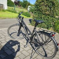 Fahrrad Stevens Courier SL Lady 46cm Niedersachsen - Büddenstedt Vorschau