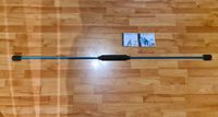 Swingstick mit Training DVD's Hessen - Rödermark Vorschau