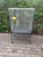 Papageien Käfig Sachsen - Wittichenau Vorschau
