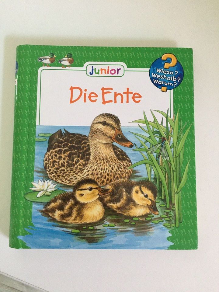 Wieso Weshalb Warum Junior Buch - die Ente in Oldenburg