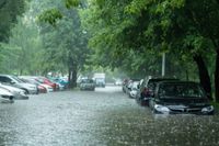 Kaufe Autos Hochwasser, Wasserschaden, Motorschaden, unfall, Baden-Württemberg - Pforzheim Vorschau