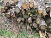 Brennholz zu verkaufen Sachsen - Freital Vorschau