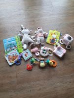 Babyspielzeug und Bücher Hessen - Ehringshausen Vorschau