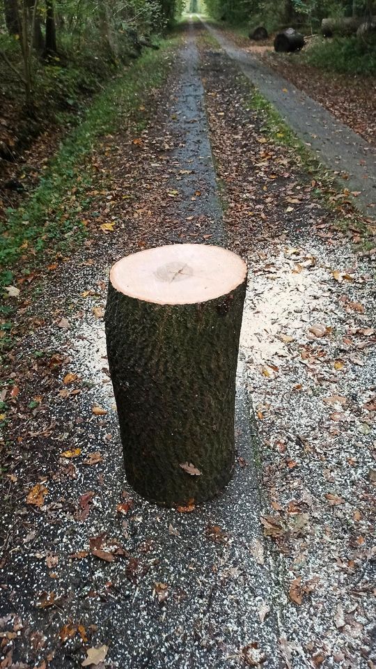 Baumstamm Hauklotz Hackklotz für Kaminholz ca. 70x35cm Esche in Heidgraben