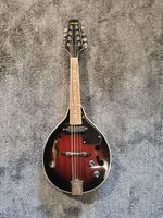 Stagg M50 E Bluegrass Mandoline Niedersachsen - Hemmoor Vorschau