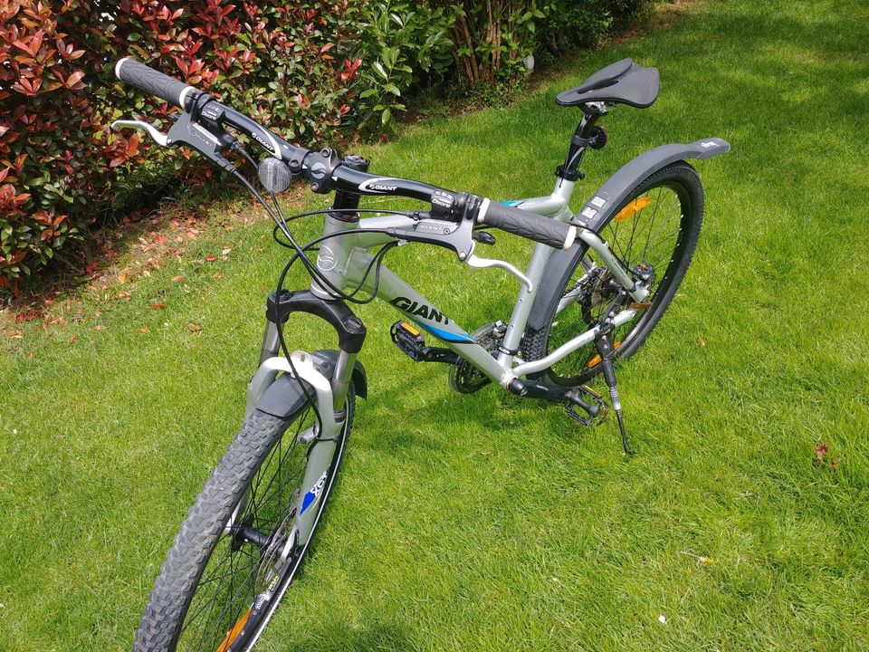 Fahrrad Mountainbike Giant 26" in Reutlingen