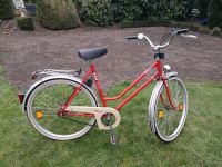 Rixe Delta 80 er Jahre Fahrrad 26 Zoll Tkkg Zeitalter Niedersachsen - Schüttorf Vorschau