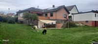 Familienfreundliches Haus mit Garten und Garage zu verkaufen! Bayern - Windischeschenbach Vorschau