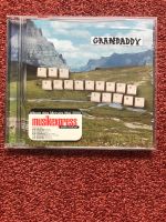 Granddaddy - The Sophtware Slump Essen - Steele Vorschau