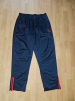 Original Adidas Sport Hose Jogginghose Retro 3 Streifen XXL XL 8 Sachsen - Radeberg Vorschau