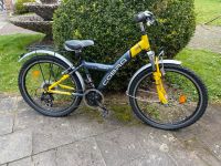 24 Zoll Fahrrad  Mountainbike Hessen - Neuhof Vorschau