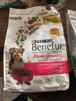 Hundefutter beneful Bayern - Haldenwang Vorschau