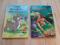 Strolchis Abenteuer + Tarzan, 2 Disney Bilderbücher ab 4 Jahren Pankow - Prenzlauer Berg Vorschau