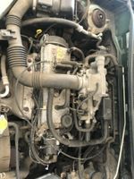 Motor Mazda Demio 1,5 75PS B5E B5 E Getriebe 14806 Sachsen-Anhalt - Coswig (Anhalt) Vorschau
