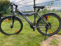 Winora Fahrrad Nordrhein-Westfalen - Euskirchen Vorschau