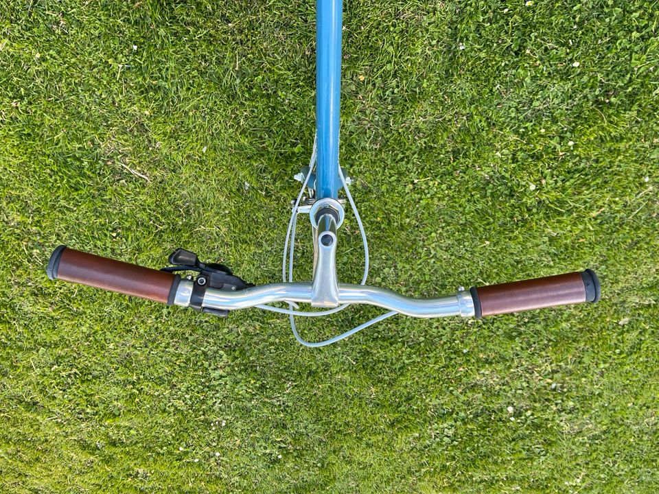 Fahrrad Tokyo Bike Herren taubenblau in Kassel