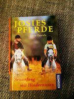 Josies Pferde Niedersachsen - Wulfsen Vorschau