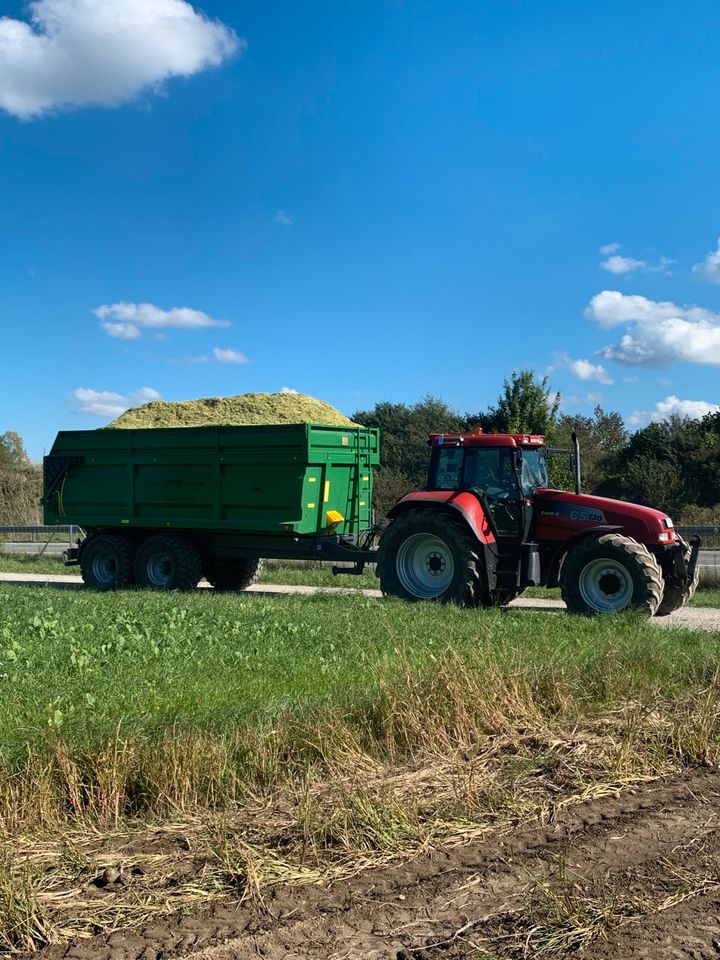 Transport von Silage, Mais, Hackschnitzel mit Muldenkipper in Anzing