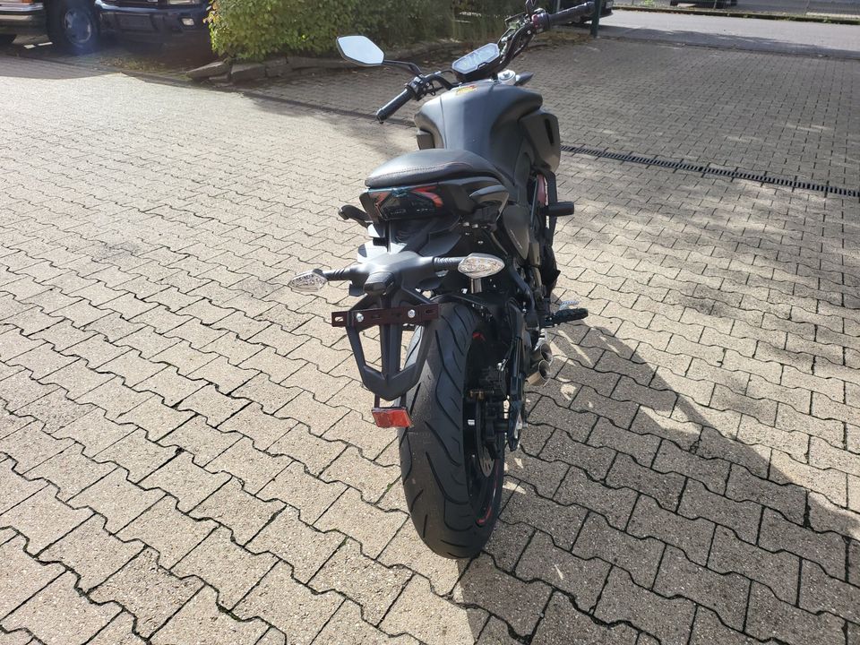 Motobi DL 125 Nacked "SOFORT VERFÜGBAR" in Brühl