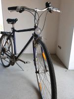 Herren Fahrrad Schleswig-Holstein - Wellspang Vorschau