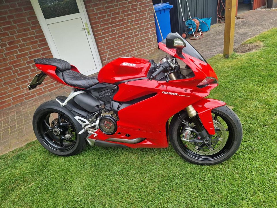 Ducati 1299 Panigale in Burg (Dithmarschen)