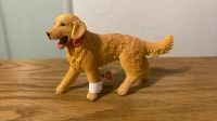 Schleich Golden Retriever Hund neu Thüringen - Gotha Vorschau