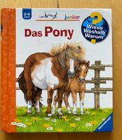 Wieso weshalb warum „das Pony“ Baden-Württemberg - Durmersheim Vorschau