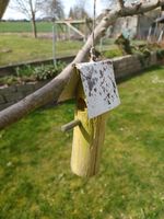 Deko Vogelhäuschen Bayern - Bruckberg bei Landshut Vorschau