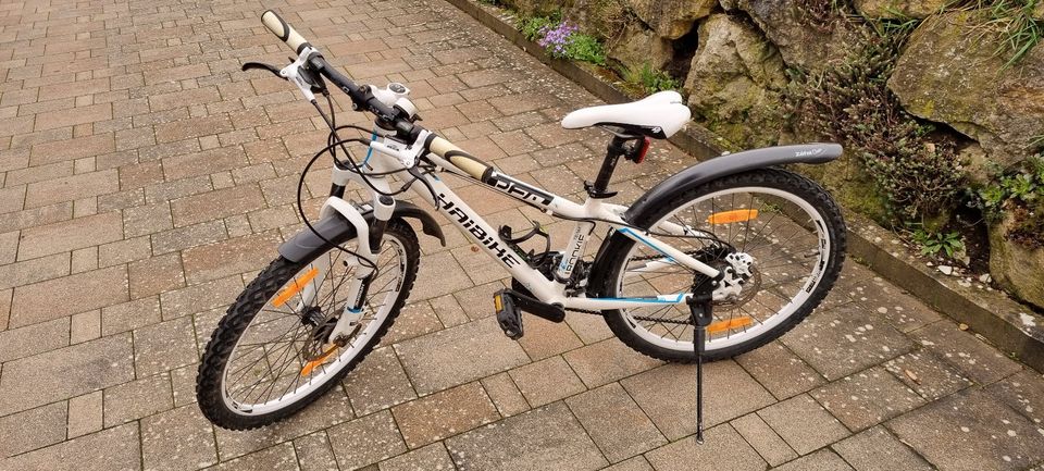 Haibike Rookie 24" Fahrrad Kinderfahrrad in Litzendorf