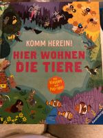 Kinderbuch Hier wohnen die Tiere - mit Pop-Ups Nürnberg (Mittelfr) - Nordstadt Vorschau