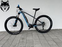 eBike Focus Bold Irongray, Maliblue top Zustand 756Wh Bayern - Lindau Vorschau