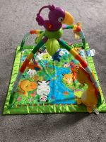 Spielbogen Rainforest Erlebnisdecke Fisher-Price Bayern - Schiltberg Vorschau