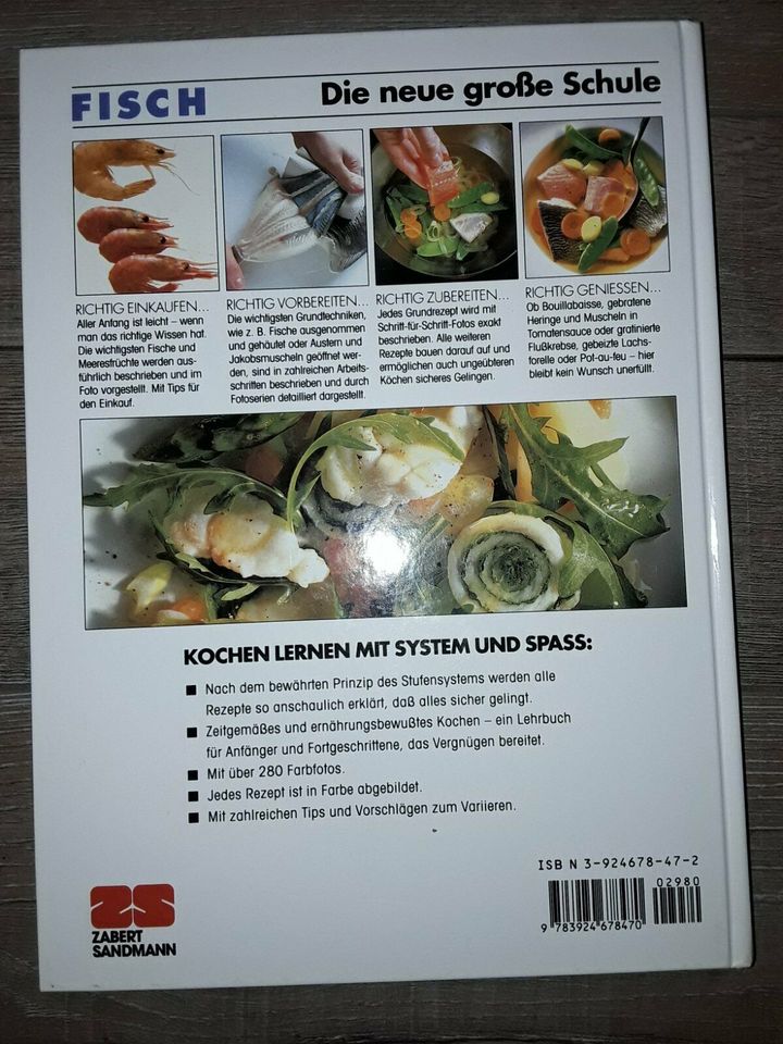 Fisch Kochbuch Rezepte Diät gesunde Ernährung in Großschirma