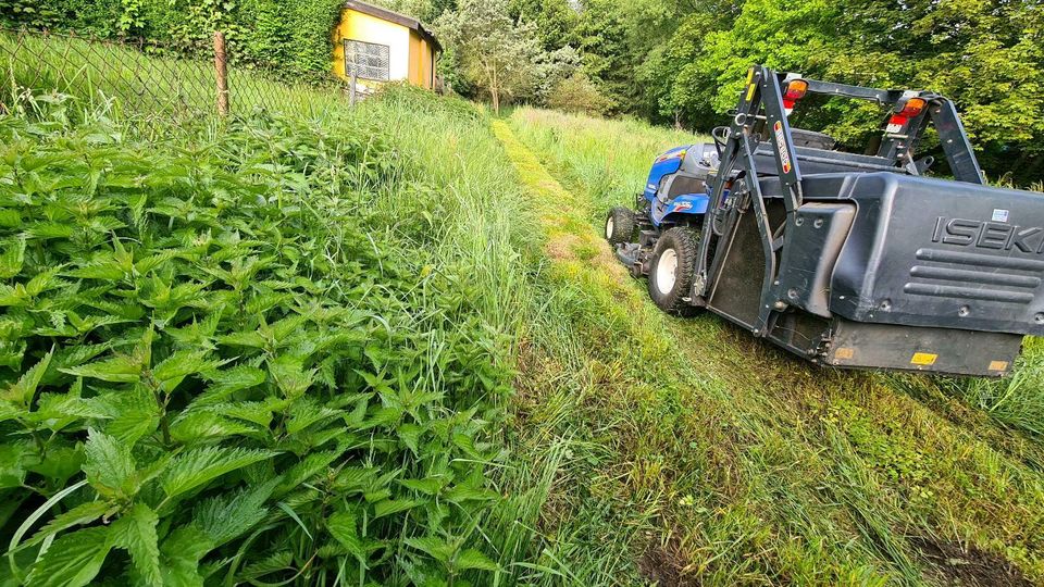 Rasen mähen, Mahd, Grundstückspflege, Mäharbeiten in Oschatz