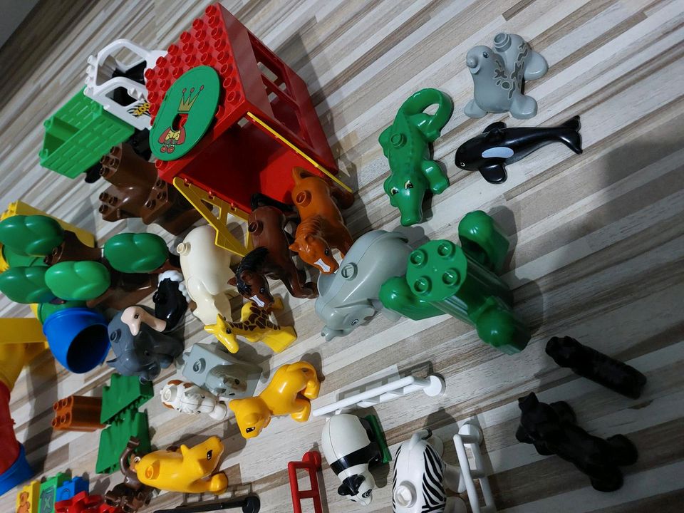 Lego duplo Tiere in Köln