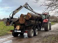 Holztransport mit Rückewagen Baden-Württemberg - Sinzheim Vorschau