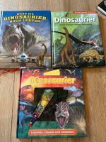 Dinosaurier Bücher Sachsen - Grimma Vorschau