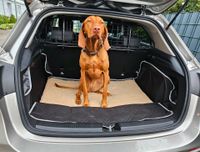 Hundegitter Kofferraum Hund Mercedes A-Klasse W177 UVP 113€ Nordrhein-Westfalen - Essen-Fulerum Vorschau