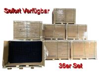 Trina Solarmodule 435W Watt Vertex S+ Glas Glas TSM-435NEG9RC.27 Nordrhein-Westfalen - Gronau (Westfalen) Vorschau