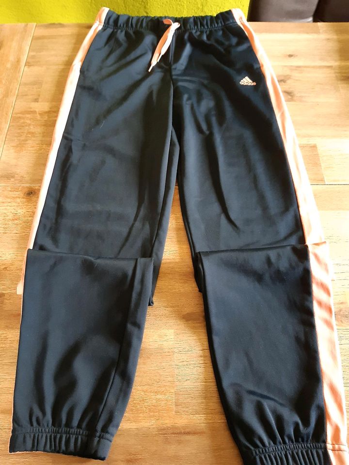 Jogginganzug Adidas Mädchen Größe 164 in Olbernhau