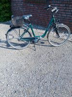 Fahrrad Damenrad 28zoll.7Gang ,Farbe:Grün,Gelsattel Niedersachsen - Gnarrenburg Vorschau