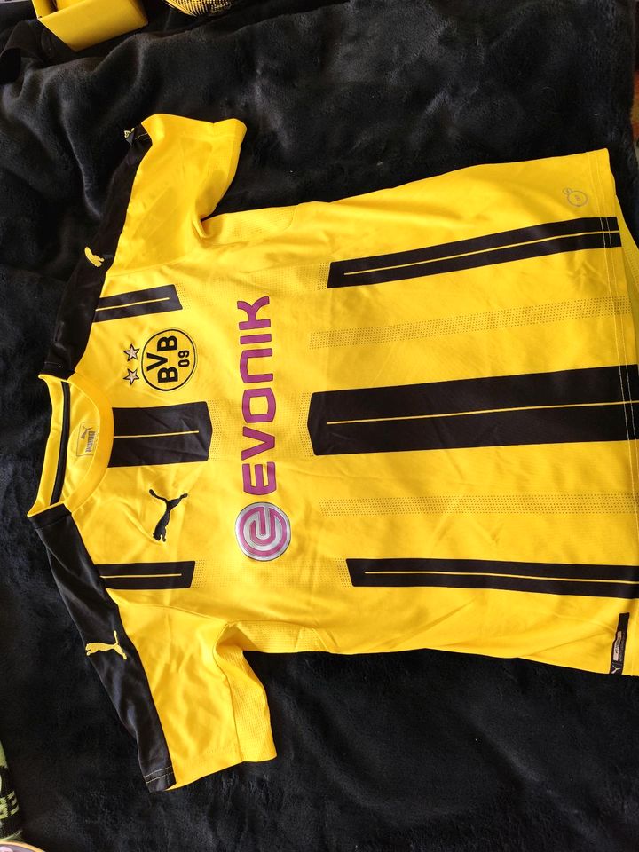 BVB, großes Fanpaket in Berlin