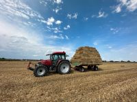 Stroh als Unkrautschutz, Schneckenschutz für Hochbeet und Garten Bayern - Schwabmünchen Vorschau