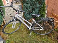 Pegasus Damen Fahrrad Bayern - Augsburg Vorschau