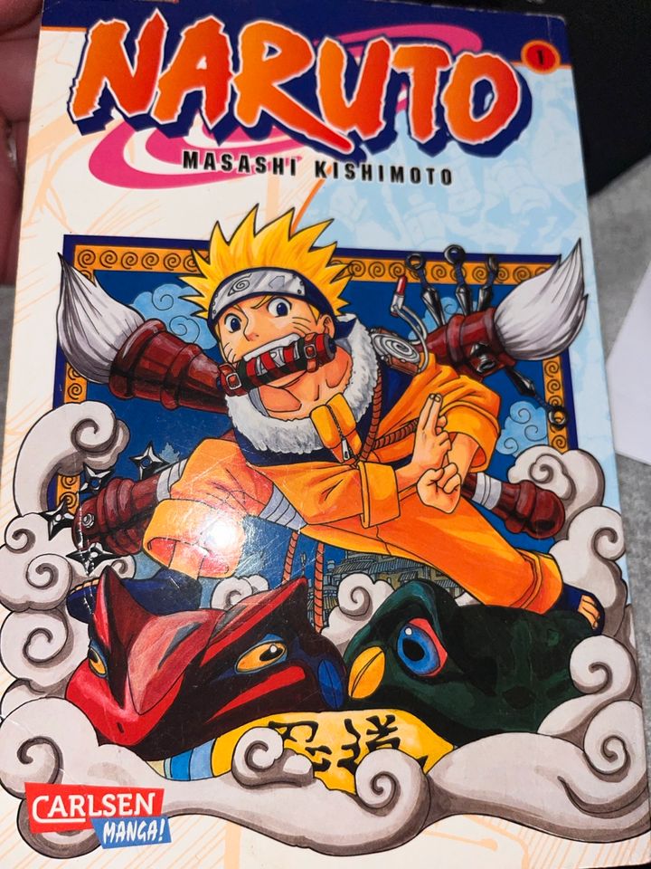 Manga’s von One Piece, Naruto, Dragonball, Spy X Family in Duderstadt