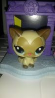 The Littlest Pet Shop , LPS Figur Katze Mc Donalds Baden-Württemberg - Kirchheim unter Teck Vorschau