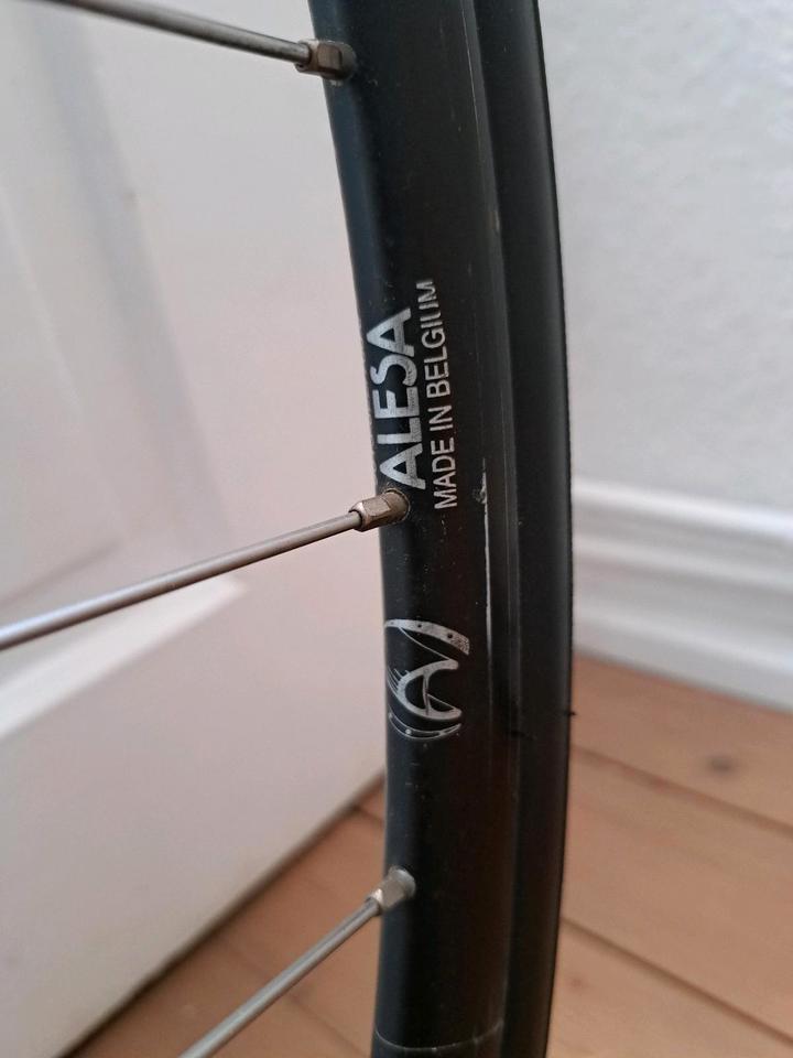 Rennrad Giant Cadex 980c RH57 Sachs new succes 3ttt vintage in Marburg
