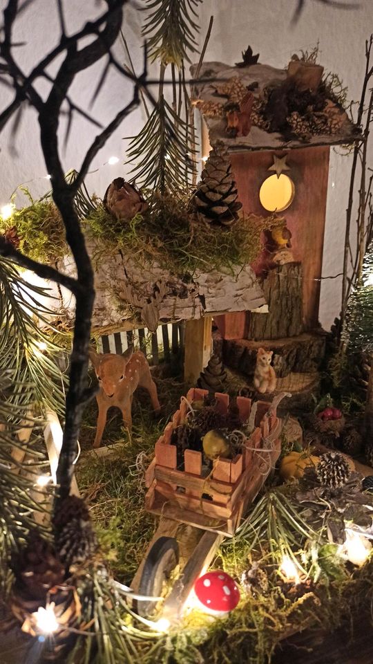 Wichtelhaus Wichteltür Weihnachtsdeko Feenhaus Gnom in Köln