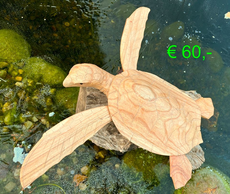 Schildkröte 30cm Landschildkröte Holzschildkröte Holz in Essen