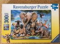 300 Teile Puzzle von Ravensburger - Afrikanische Freunde Hessen - Hünstetten Vorschau